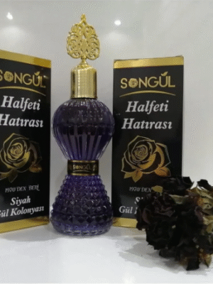 SONGÜL KARAGÜL KOLONYASI